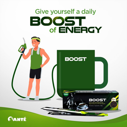 Sante Barley Boost Coffee