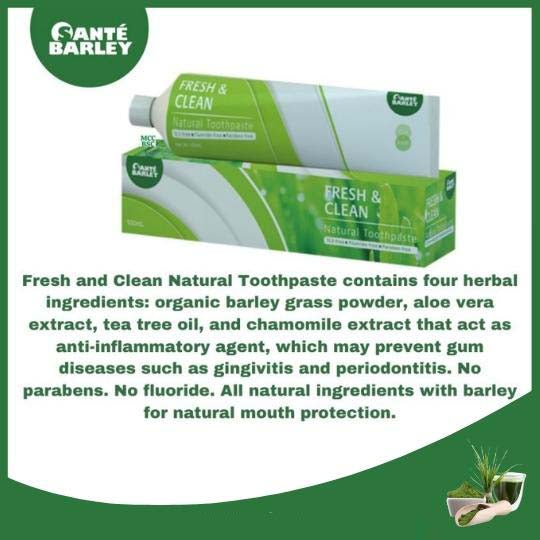 Natureal Toothpaste 100ml