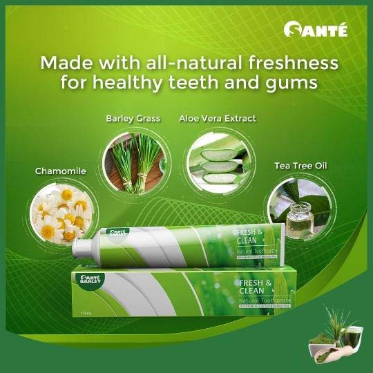 Natureal Toothpaste 100ml w/ Toothbrush