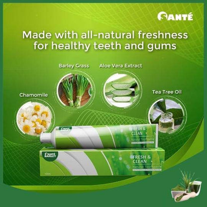 Natureal Toothpaste 100ml w/ Toothbrush