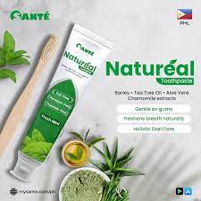 Natureal Toothpaste 100ml w/ Toothbrush